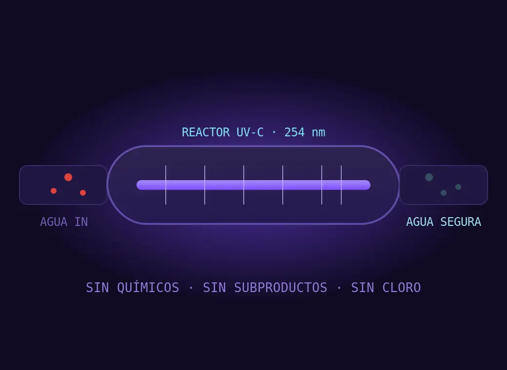 Diagram of the UV-C reactor: water enters carrying microorganisms and leaves disinfected, with no chemicals and no byproducts