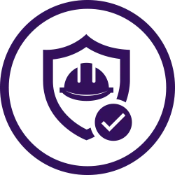 seguro icon